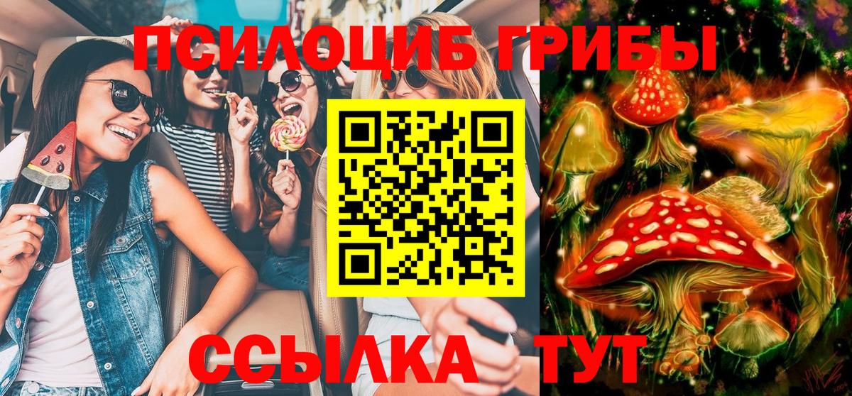Городец  Псилоцибиновые грибы Psilocybine cubensis  Галлюциногенные грибы GOLDEN TEACHER  Вход с VPN 